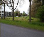 wadis en schapen